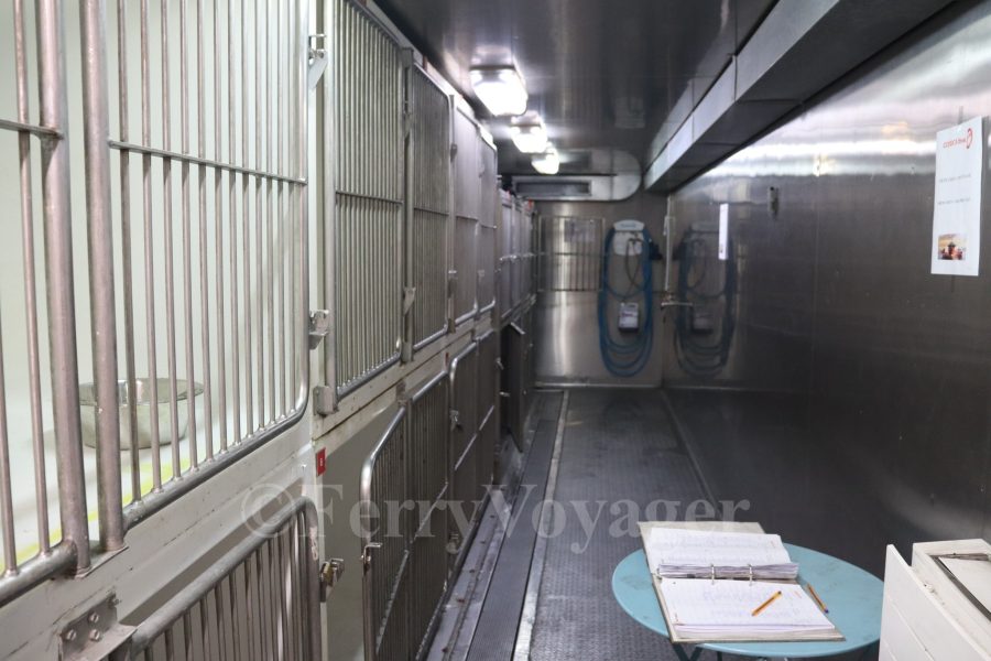 The kennels, aft of the bridge on Deck 10.