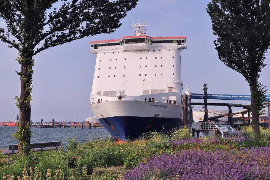 P&O Ferries' Pride of Hull at Rotterdam (Europoort), June 2022.