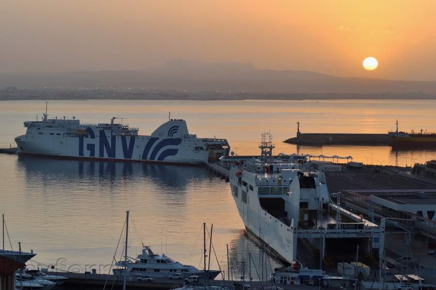 The GNV Bridge and Tenacia at Palma de Mallorca, February.