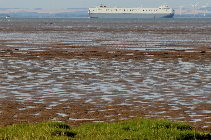 The Delphine approaching Killingholme.