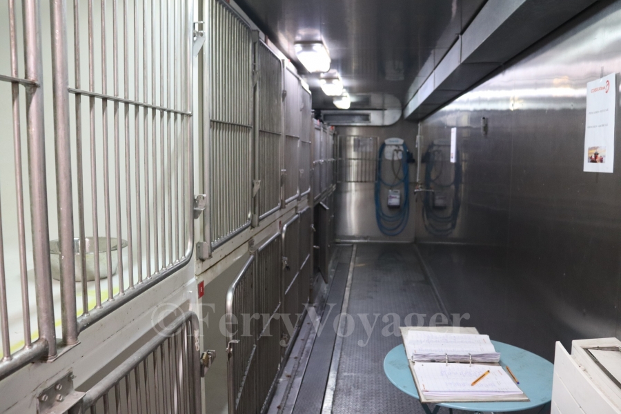 The kennels, aft of the bridge on Deck 10.